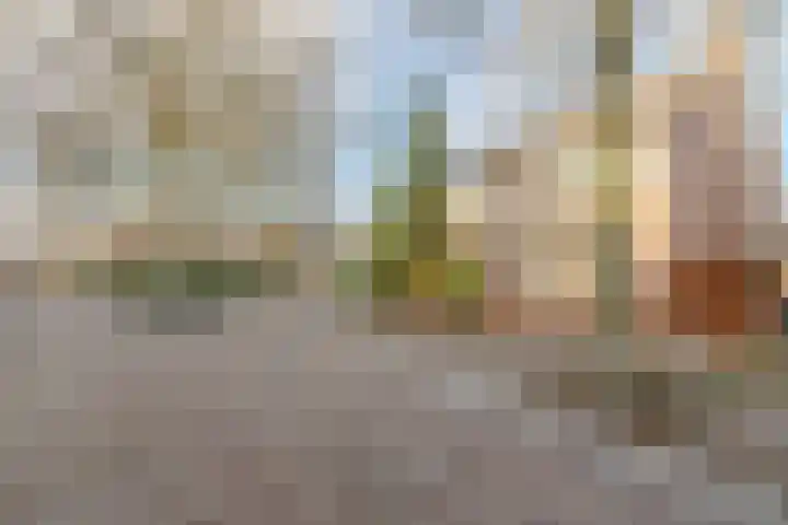 Valkenhorst 88 Cuijk thumbnail 38