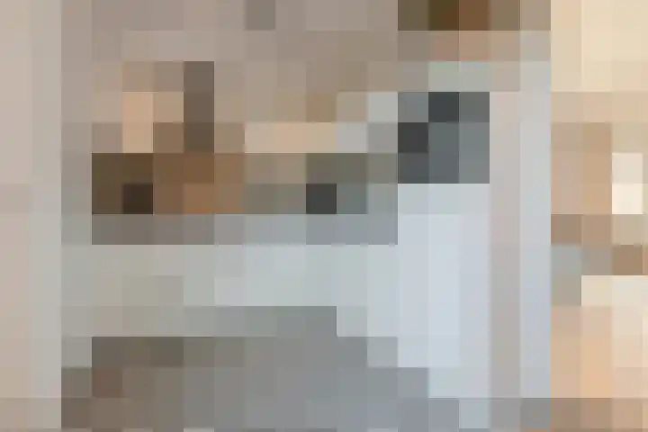 Valkenhorst 88 Cuijk thumbnail 4