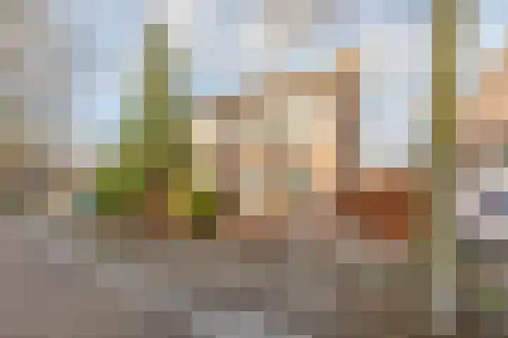 Valkenhorst 88 Cuijk thumbnail 6