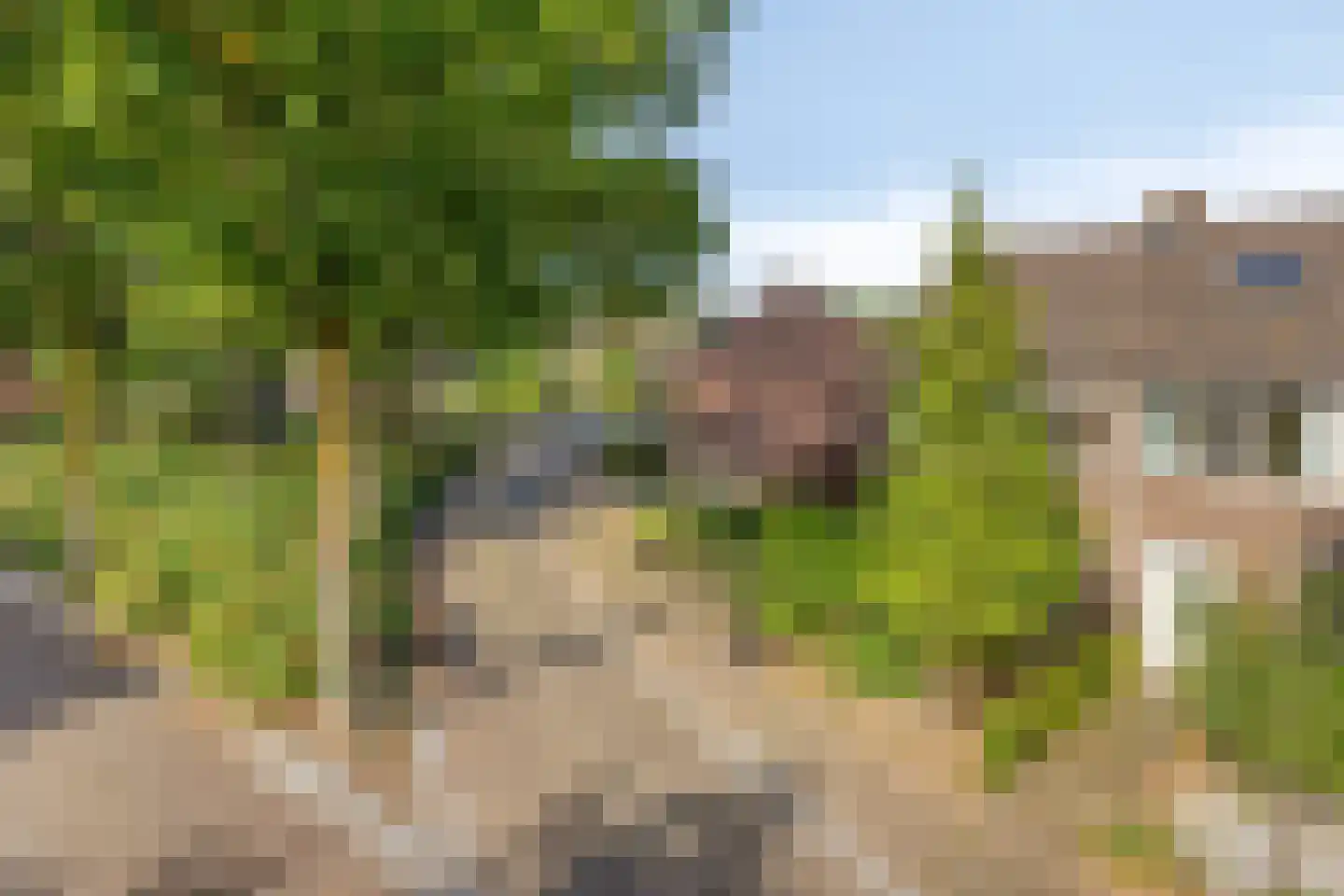 Valkenhorst 90 Cuijk thumbnail 11