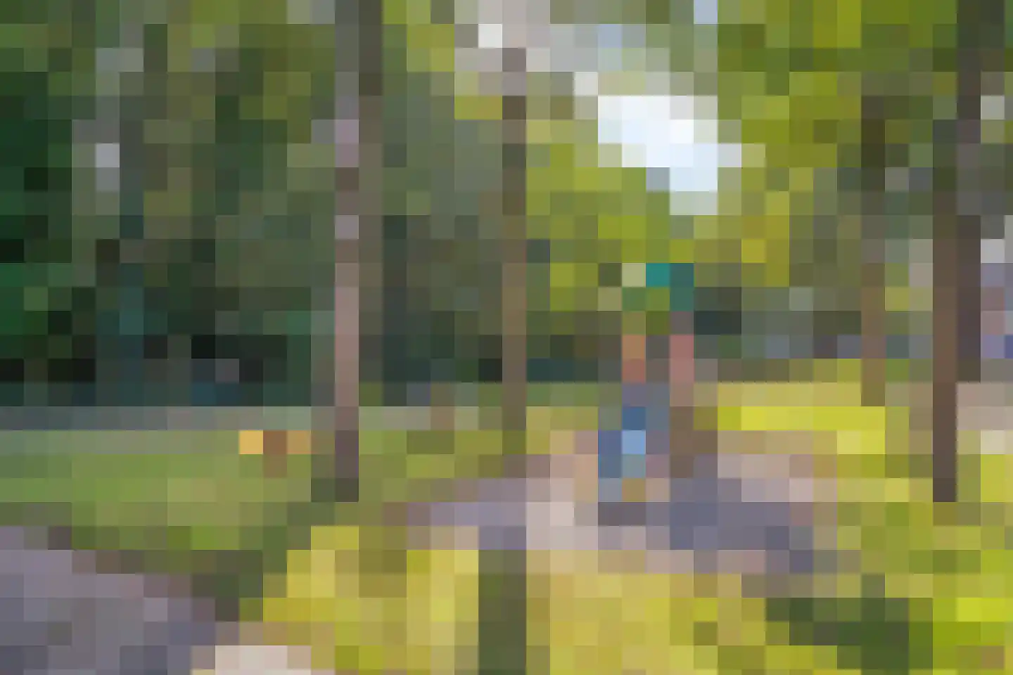 Valkenhorst 90 Cuijk thumbnail 35