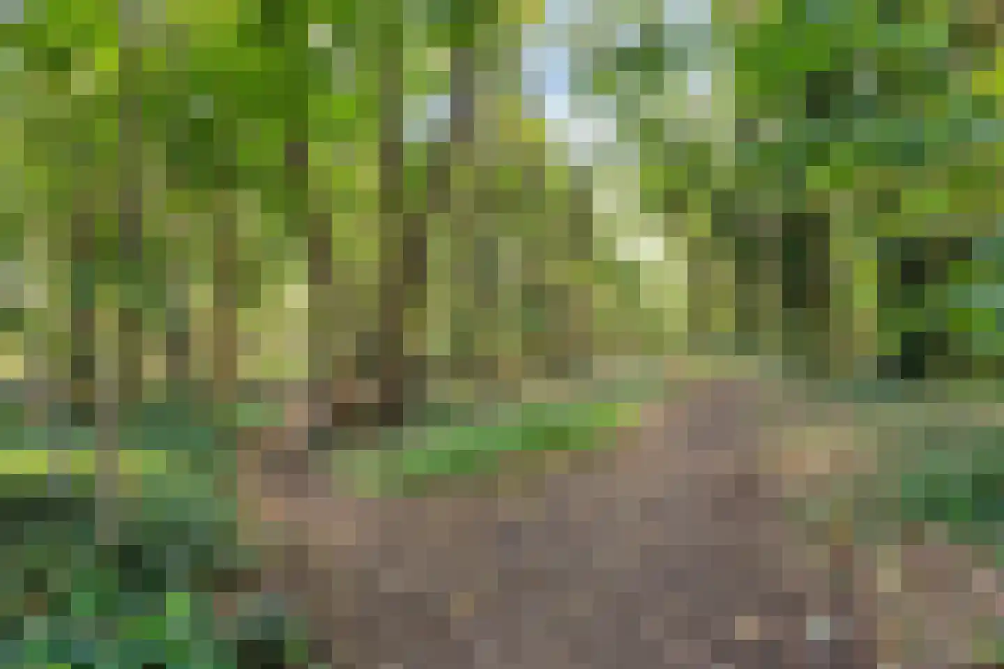 Valkenhorst 90 Cuijk thumbnail 36