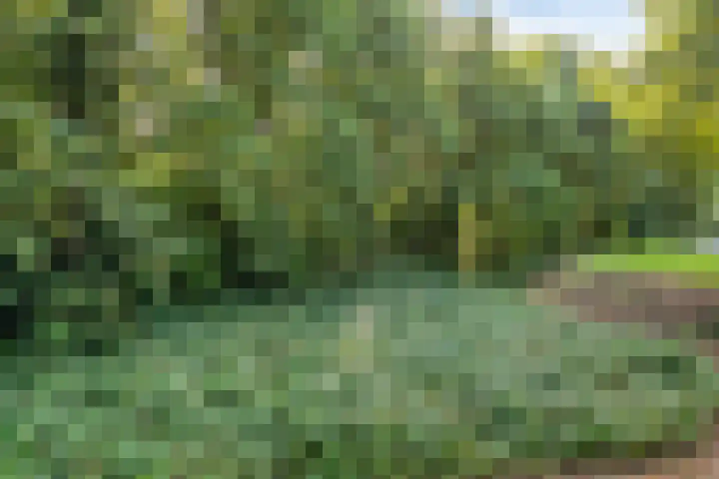Valkenhorst 90 Cuijk thumbnail 37