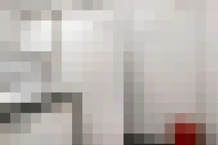 Valkenier 1 Ede thumbnail 19