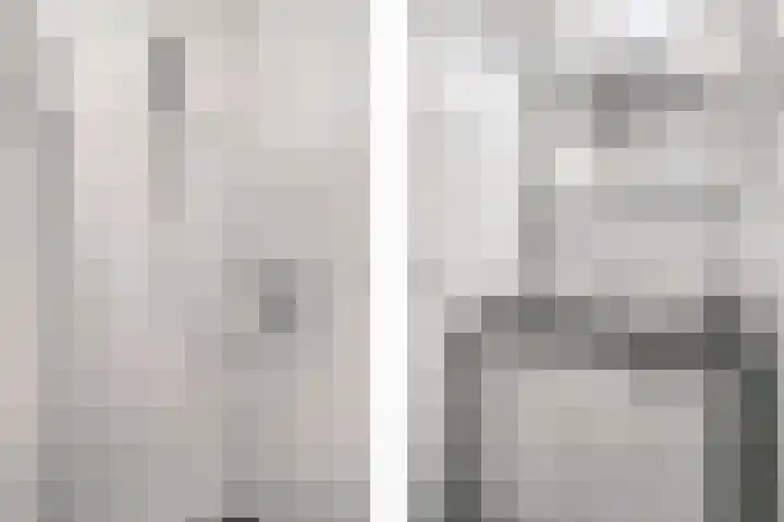 Valkenier 1 Ede thumbnail 20