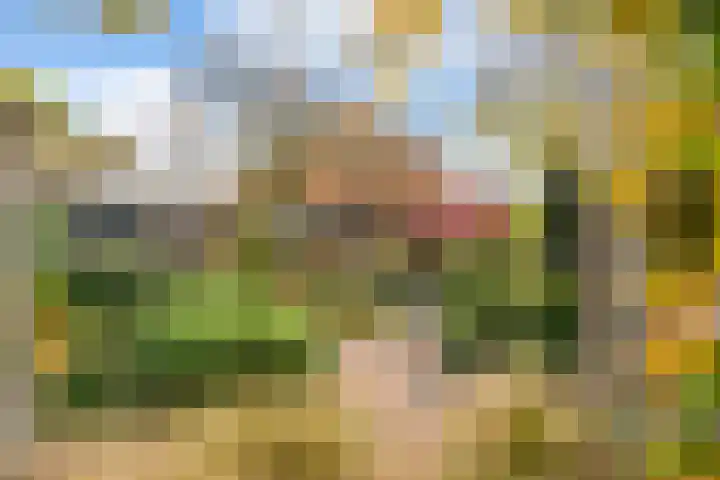 Valkenier 1 Ede thumbnail 23