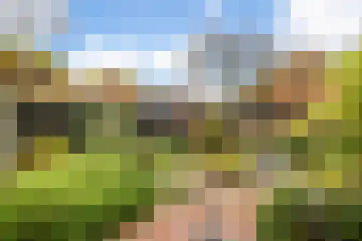 Valkenier 1 Ede thumbnail 24