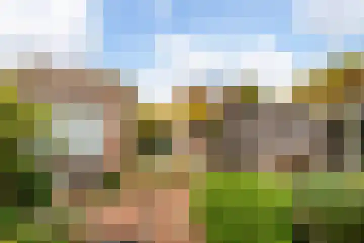 Valkenier 1 Ede thumbnail 25