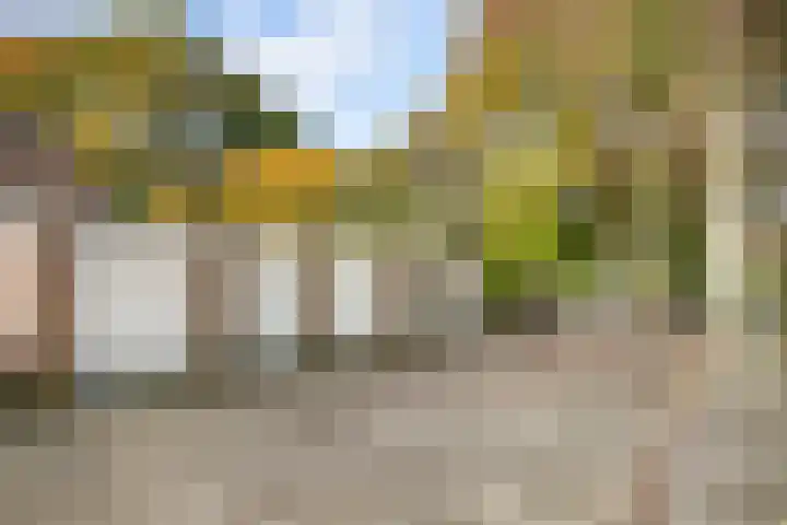 Valkenier 1 Ede thumbnail 28