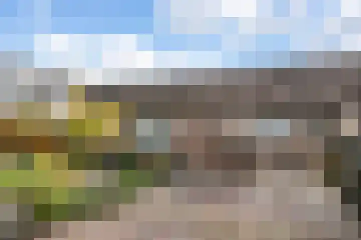 Valkenier 1 Ede thumbnail 29