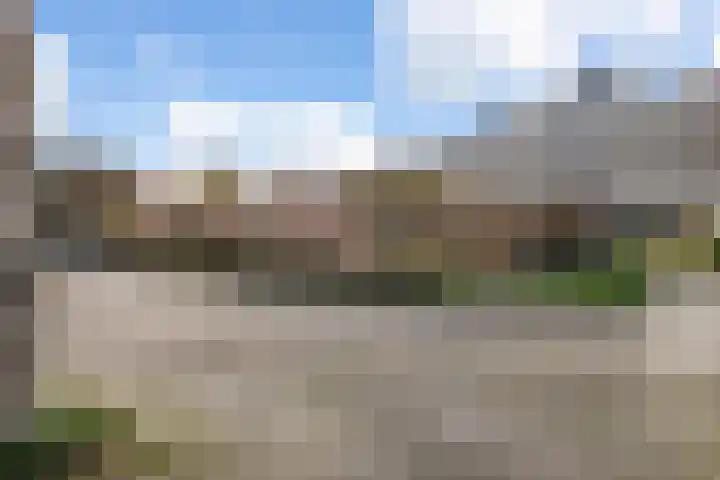 Valkenier 1 Ede thumbnail 30