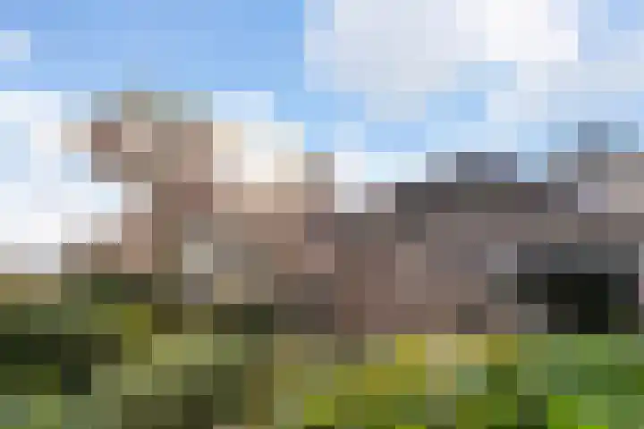 Valkenier 1 Ede thumbnail 5