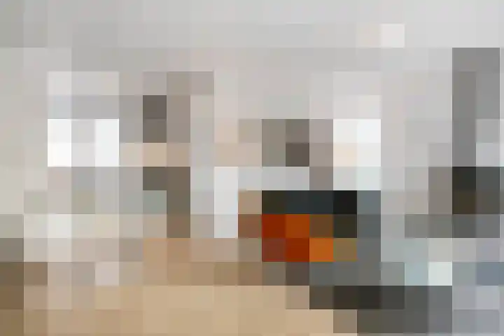 Valkenier 1 Ede thumbnail 8
