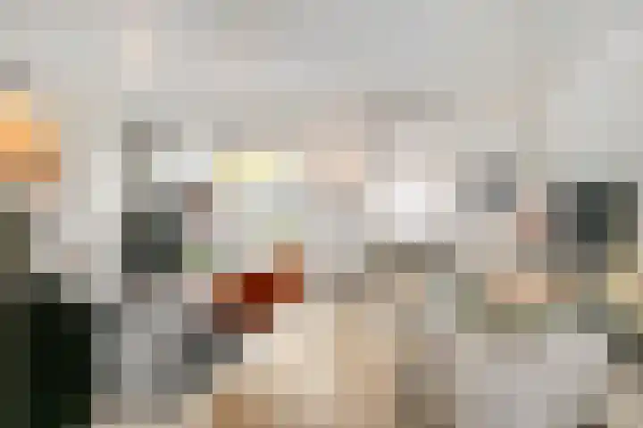 Valkenier 1 Ede thumbnail 9