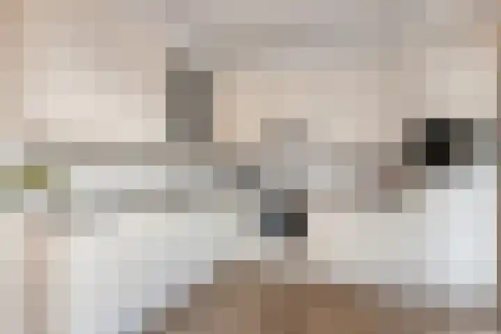 Valkenier 12 Barneveld thumbnail 10