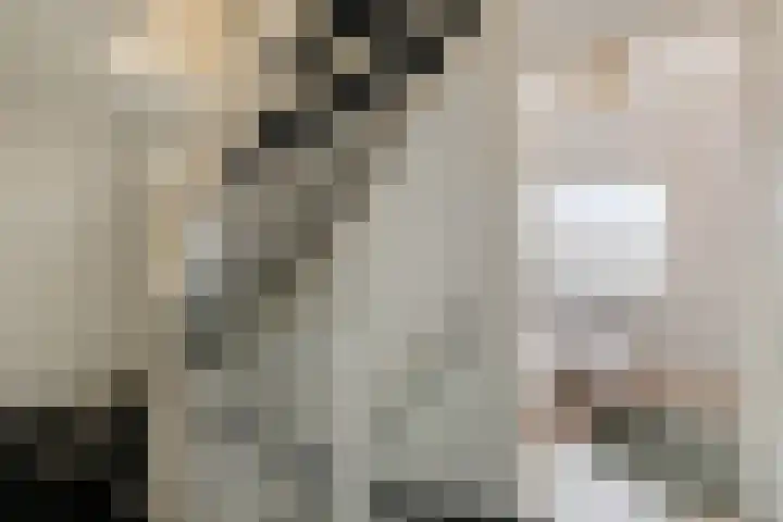 Valkenier 12 Barneveld thumbnail 13