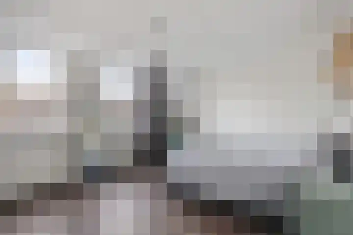 Valkenier 12 Barneveld thumbnail 14
