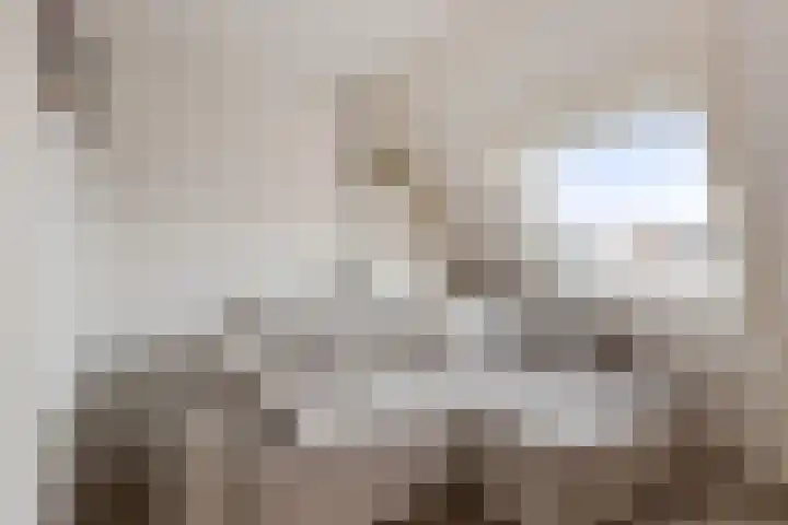 Valkenier 12 Barneveld thumbnail 17
