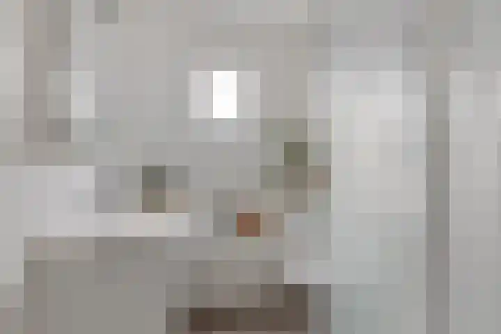Valkenier 12 Barneveld thumbnail 18