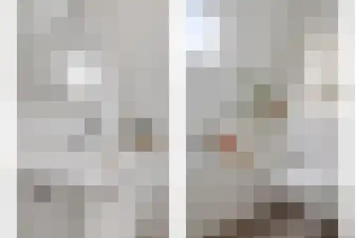 Valkenier 12 Barneveld thumbnail 19