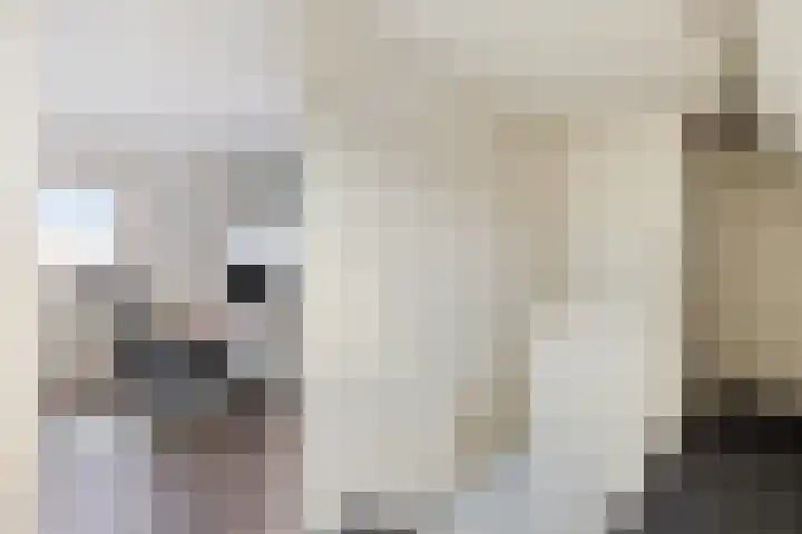 Valkenier 12 Barneveld thumbnail 20