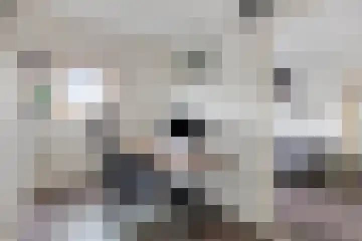Valkenier 12 Barneveld thumbnail 21