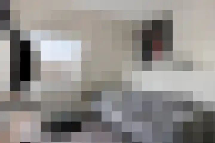Valkenier 12 Barneveld thumbnail 22
