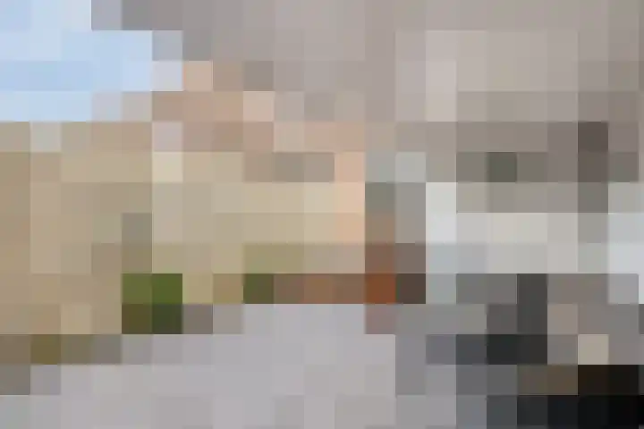 Valkenier 12 Barneveld thumbnail 25