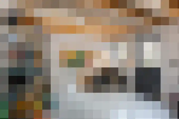 Valkenier 12 Barneveld thumbnail 28