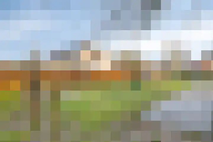 Valkenier 12 Barneveld thumbnail 29