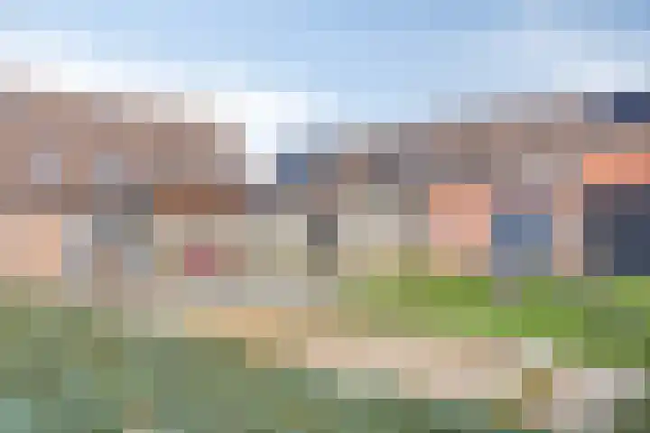 Valkenier 12 Barneveld thumbnail 30