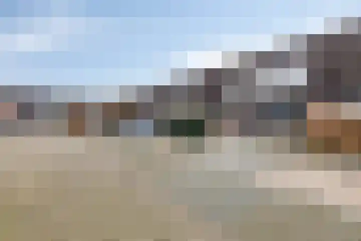 Valkenier 12 Barneveld thumbnail 31
