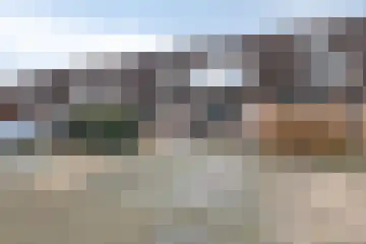 Valkenier 12 Barneveld thumbnail 32