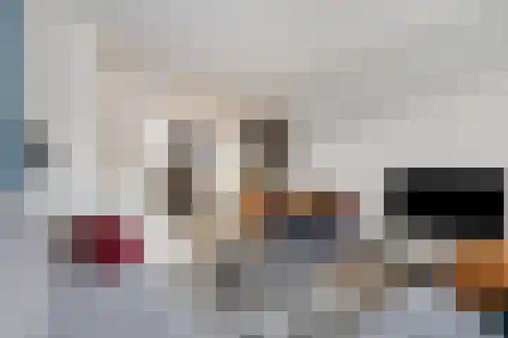 Valkenier 12 Barneveld thumbnail 7