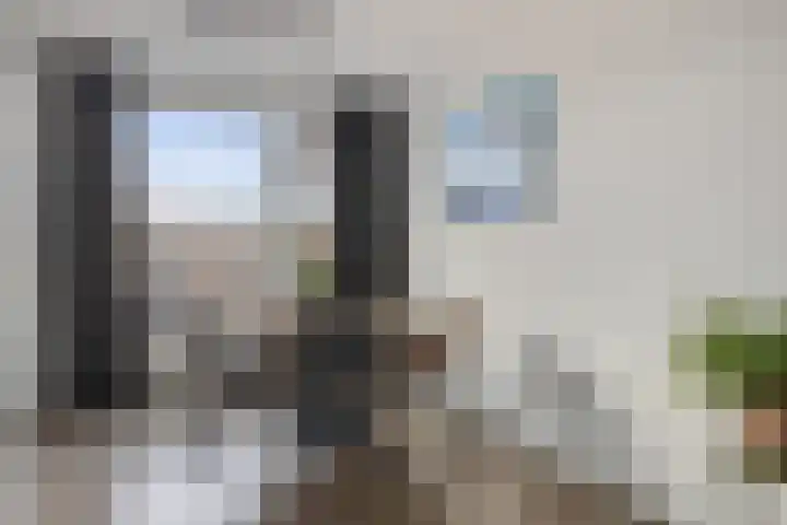 Valkenier 12 Barneveld thumbnail 8