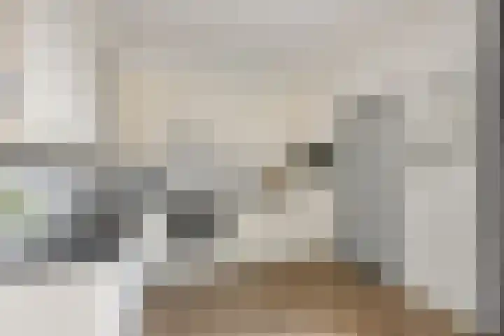 Valkenier 12 Barneveld thumbnail 9