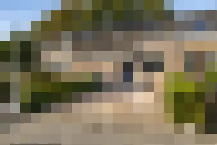 Valkenier 15 Ede