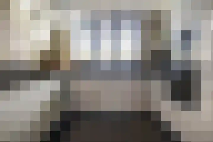 Valkenier 15 Ede thumbnail 11