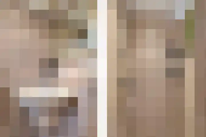 Valkenier 15 Ede thumbnail 18