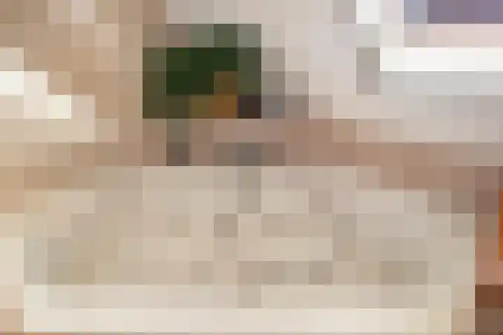Valkenier 15 Ede thumbnail 19