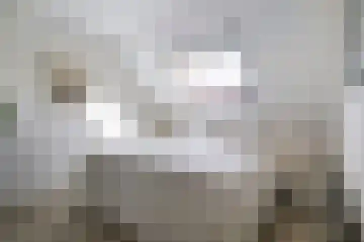 Valkenier 15 Ede thumbnail 20