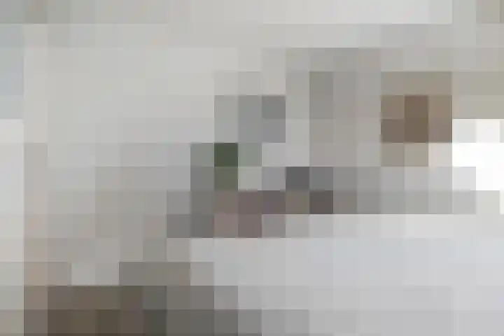 Valkenier 15 Ede thumbnail 21