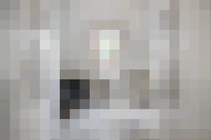 Valkenier 15 Ede thumbnail 22