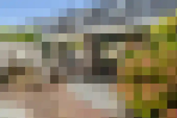 Valkenier 15 Ede thumbnail 23
