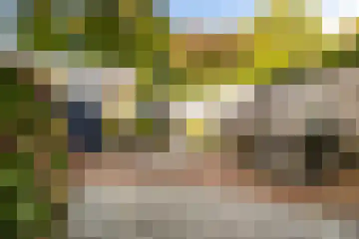 Valkenier 15 Ede thumbnail 24