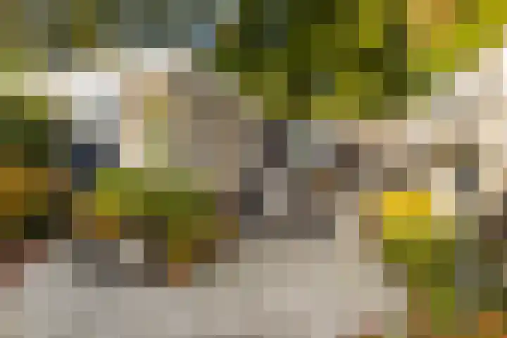 Valkenier 15 Ede thumbnail 25