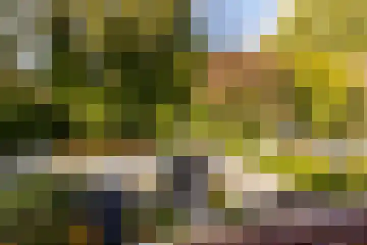 Valkenier 15 Ede thumbnail 26