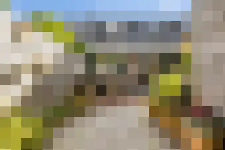 Valkenier 15 Ede thumbnail 4