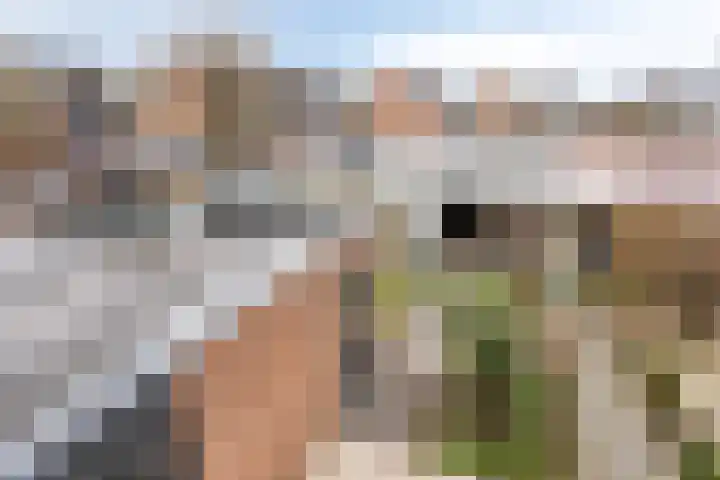 Valkenier 16 Barneveld thumbnail 23