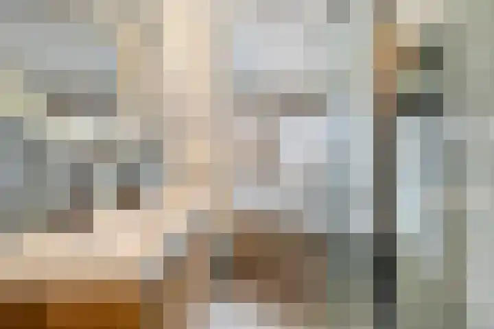 Valkenier 16 Barneveld thumbnail 24